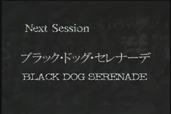 Next Session - Black Dog Serenade