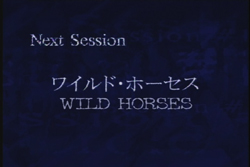 Next Session - Wild Horses